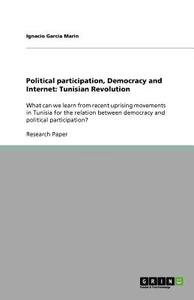 Political Participation, Democracy And Internet di Ignacio Garcia Marin edito da Grin Verlag Gmbh