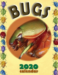 Bugs 2020 Calendar di Wall Craft Calendars edito da LIGHTNING SOURCE INC