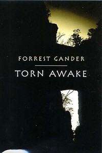 Torn Awake di Forrest Gander edito da W W NORTON & CO