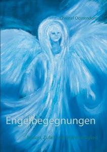 Engelbegegnungen di Christel Oostendorp edito da Books on Demand