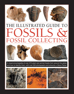 The Illustrated Guide to Fossils & Fossil Collecting: A Reference Guide to Over 375 Plant and Animal Fossils from Around di Steve Parker edito da LORENZ BOOKS