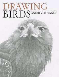 Drawing Birds di Andrew Forkner edito da Search Press Ltd