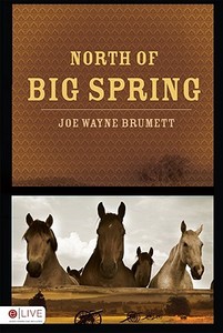 North Of Big Spring di Joe Wayne Brumett edito da Tate Publishing & Enterprises