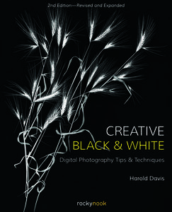 Creative Black and White: Digital Photography Tips and Techniques di Harold Davis edito da ROCKY NOOK