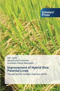 Improvement of Hybrid Rice Parental Lines di Hari Yadla, Natraj Kumar Podishetty, Sundaram Raman Meenakshi edito da SPS