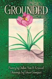 Grounded di Dallas Ann H. Erwood edito da BOOKBABY
