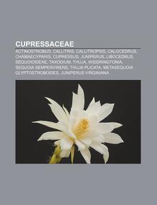 Cupressaceae: Sequoiadendron, Sequoia, M di Books Llc edito da Books LLC, Wiki Series