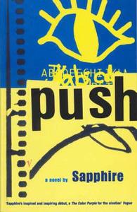 Push di Sapphire edito da Vintage Publishing