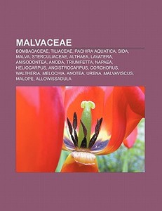 Malvaceae: Bombacaceae, Tiliaceae, Pachi di Fonte Wikipedia edito da Books LLC, Wiki Series