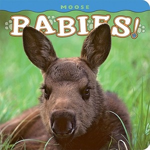 Moose Babies! edito da Farcountry Press