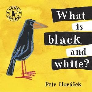 What Is Black And White? di Petr Horacek edito da Walker Books Ltd