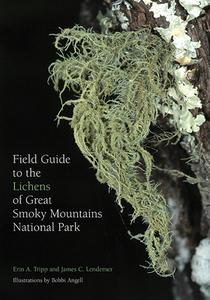 Field Guide to the Lichens of Great Smoky Mountains National Park di Erin Tripp, James Lendemer edito da UNIV OF TENNESSEE PR