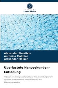 Überlastete Nanosekunden-Entladung di Alexander Shuaibov, Antonina Malinina, Alexander Malinin edito da Verlag Unser Wissen
