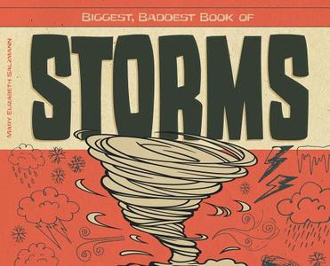 Biggest, Baddest Book of Storms di Mary Elizabeth Salzmann edito da SUPER SANDCASTLE