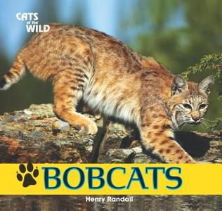 Bobcats di Henry Randall edito da PowerKids Press
