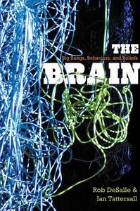 The Brain di Rob DeSalle, Ian Tattersall edito da Yale University Press