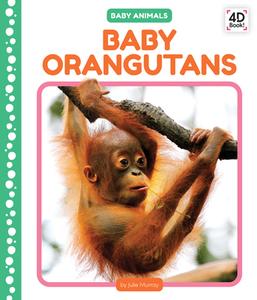 Baby Orangutans di Julie Murray edito da CODY KOALA