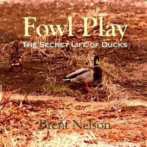 Fowl Play: The Secret Life of Ducks di Brent Nelson edito da Createspace Independent Publishing Platform