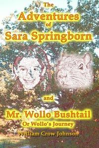 The Adventures of Sara Springborn and Mr. Wollo Bushtail: Or Wollo's Journey di William Crow Johnson edito da Createspace Independent Publishing Platform
