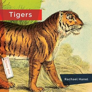Tigers di Rachael Hanel edito da CREATIVE EDUCATION