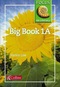 Focus On Literacy di Karina Law edito da Harpercollins Publishers