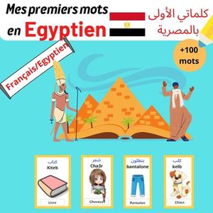 Mes Premiers Mots En Egyptiens Francais/Egyptien di publishnig NEDJ publishnig edito da Independently Published