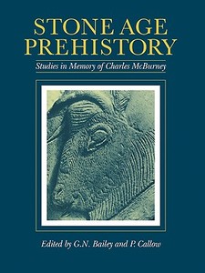 Stone Age Prehistory edito da Cambridge University Press