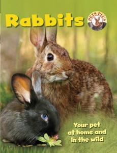 Rabbits di Sally Morgan edito da Hachette Children's Books