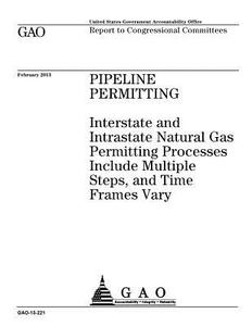 Pipeline Permitting: Interstate and Intrastate Natural Gas Permitting Processes Include Multiple Steps, and Time Frames Vary di United States Government Account Office edito da Createspace Independent Publishing Platform