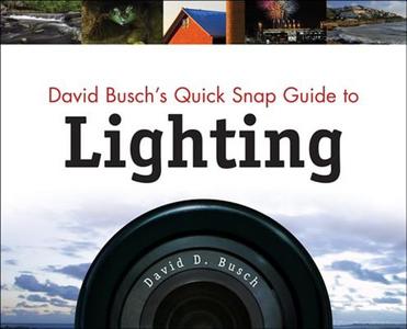 David Busch's Quick Snap Guide To Lighting di David Busch edito da Cengage Learning, Inc