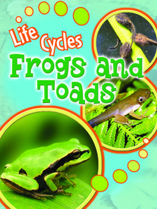 Frogs and Toads di Julie K. Lundgren edito da Rourke Publishing (FL)