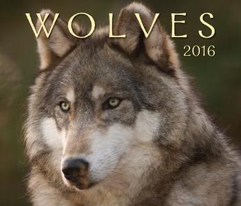 Wolves 2016 Calendar di Firefly Books edito da Firefly Books Ltd