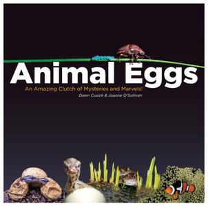 Animal Eggs: An Amazing Clutch of Mysteries and Marvels di Dawn Cusick, Joanne O'Sullivan edito da EARLY LIGHT BOOKS
