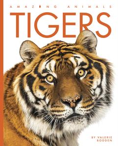 Tigers di Valerie Bodden edito da CREATIVE EDUCATION