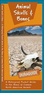 Animal Skulls & Bones: A Waterproof Pocket Guide to the Bones of Common North American Animals di James Kavanagh edito da Waterford Press