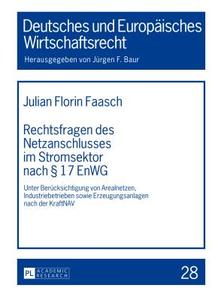 Rechtsfragen des Netzanschlusses im Stromsektor nach § 17 EnWG di Julian Florin Faasch edito da Lang, Peter GmbH