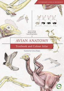 Avian Anatomy: Textbook and Colour Atlas di Horst Erich Konig, Rudiger Korbel, Hans-Georg Liebich edito da 5M PUB