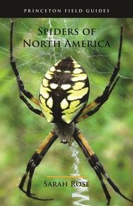SPIDERS OF NORTH AMERICA di Sarah Rose edito da PRINCETON UNIVERSITY PRESS