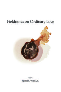 Fieldnotes on Ordinary Love di Keith S. Wilson edito da COPPER CANYON PR