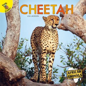 Cheetah di Lisa Jackson edito da READY READERS