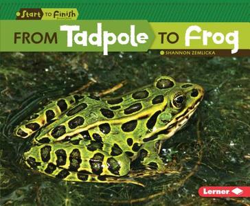 From Tadpole to Frog di Shannon Zemlicka edito da LERNER PUB GROUP