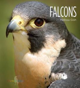 Falcons di Melissa Gish edito da CREATIVE CO