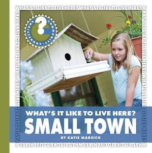 What's It Like to Live Here? Small Town di Katie Marsico edito da CHERRY LAKE PUB