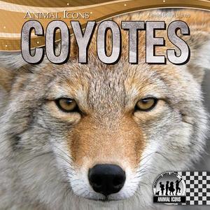 Coyotes di Sheila Griffin Llanas edito da Checkerboard Books