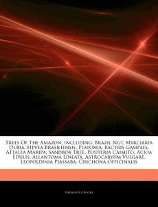 Trees Of The Amazon, Including: Brazil N di Hephaestus Books edito da Hephaestus Books