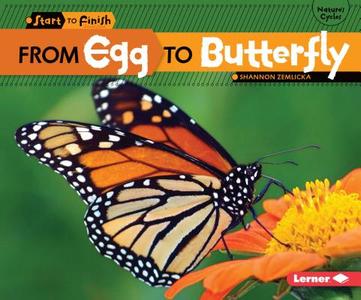 From Egg to Butterfly di Shannon Zemlicka edito da LERNER CLASSROOM