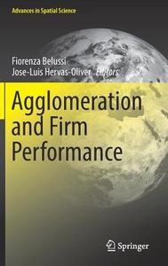 Agglomeration and Firm Performance edito da Springer-Verlag GmbH