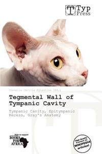 Tegmental Wall Of Tympanic Cavity edito da Crypt Publishing