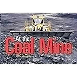 At the Coal Mine [With Teaching Notes] di Julie Haydon edito da Rigby