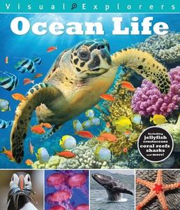 Ocean Life di Toby Reynolds, Paul Calver edito da BES PUB